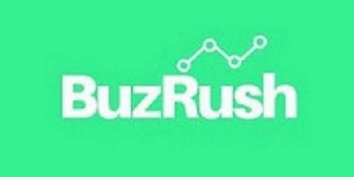 Buzrush Reviews & Digitalvisi Review7
