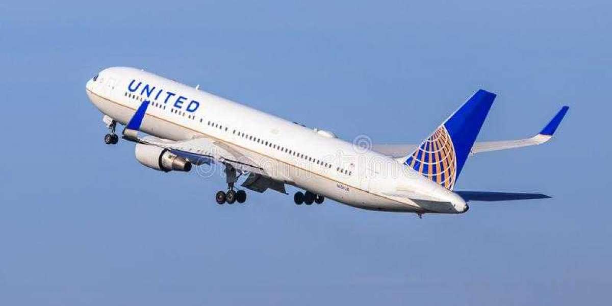 What are the policies for canceling United Airlines?