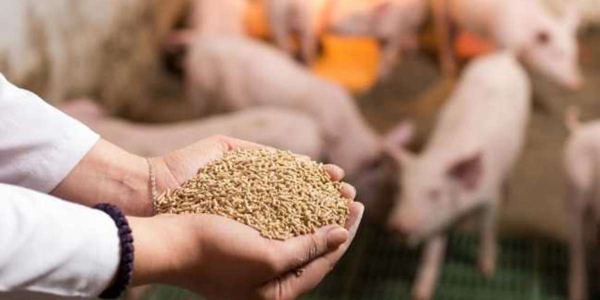 How to Make Quality Pig Feed