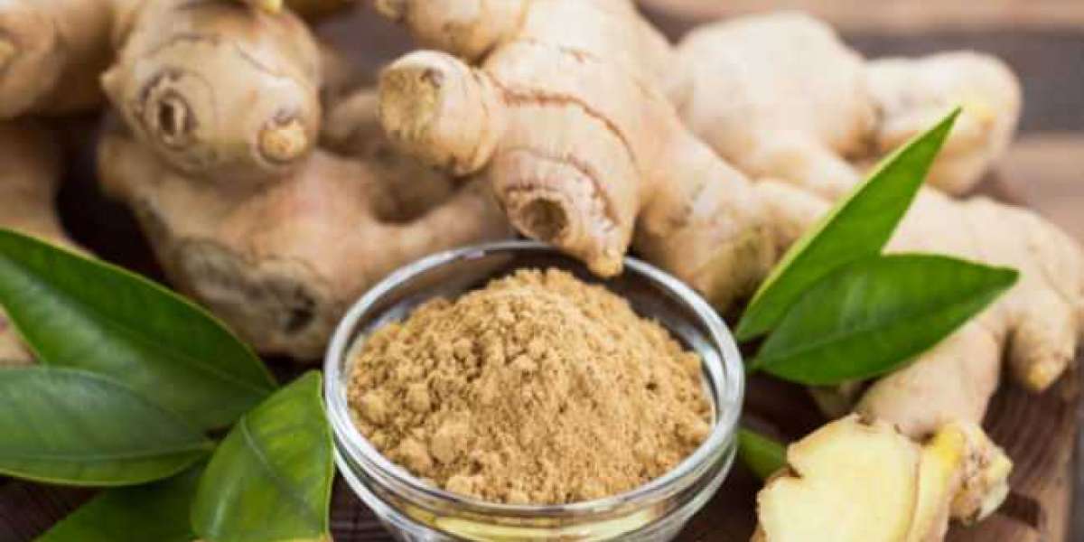 Here Are Motivations behind Why You Ought to Eat Ginger Consistently