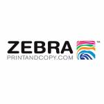 zebraprint Profile Picture