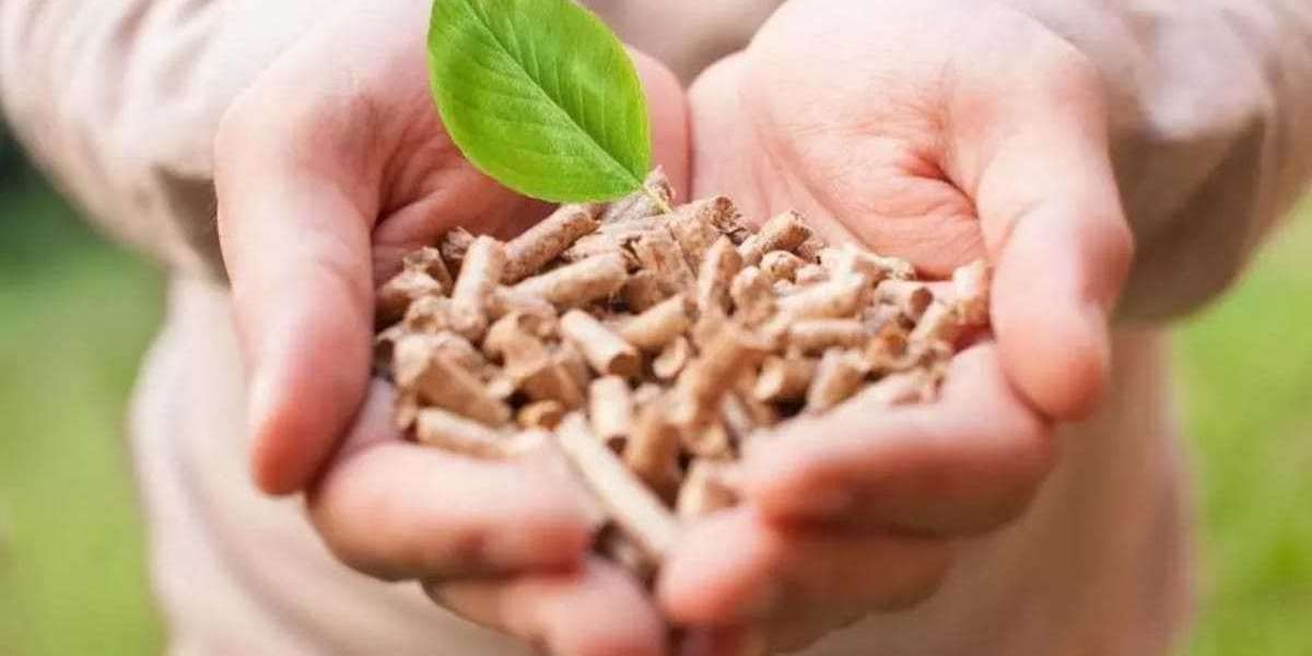 Biomass energy: green or dirty?