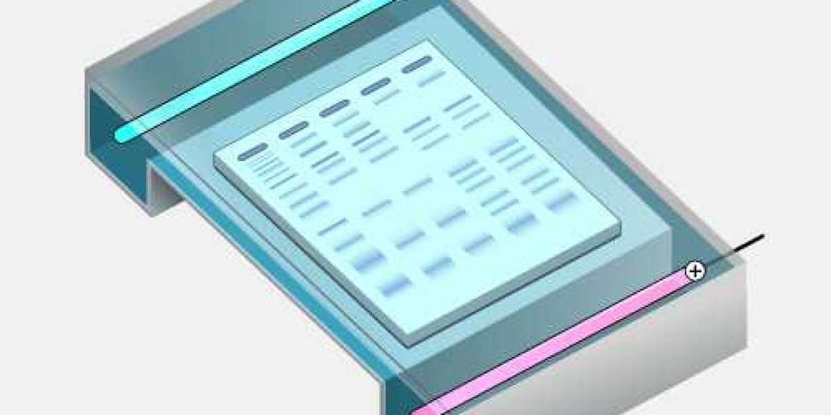 Electrophoresis Market is expected to reach US$ 3.5 Bn by 2032 | FMI