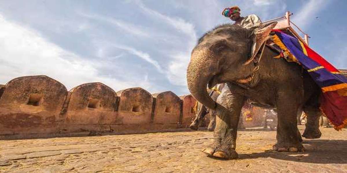 Best Rajasthan Family Holidays in Affordable Package