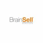 brainsellservices Profile Picture