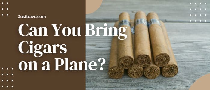 Can You Bring Cigars On A Plane? TSA Rules For Carrying Cigars