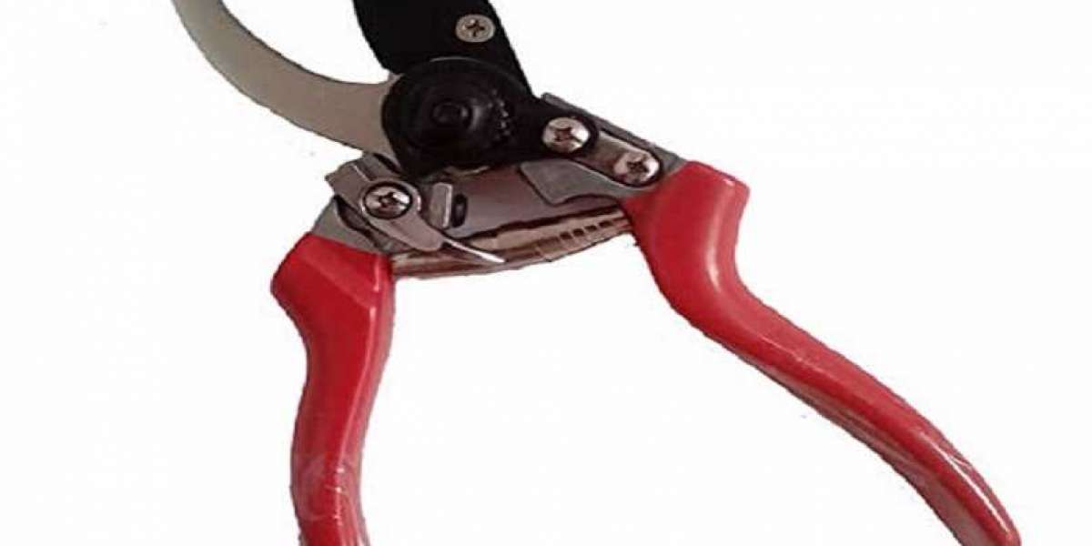 What is Branch Cutter? Types of Garden Branch Cutters