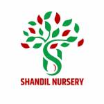 Shandil Nursery Profile Picture