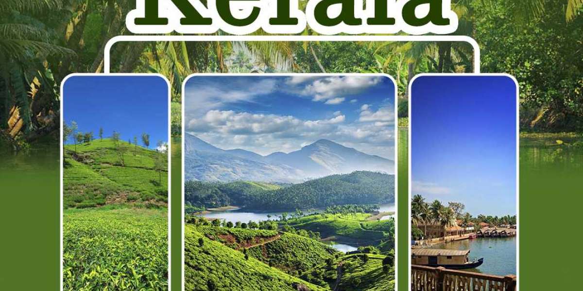 You enjoy all of these with Kerala Tour Packages from Ahmedabad.