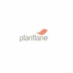 plantlane Profile Picture