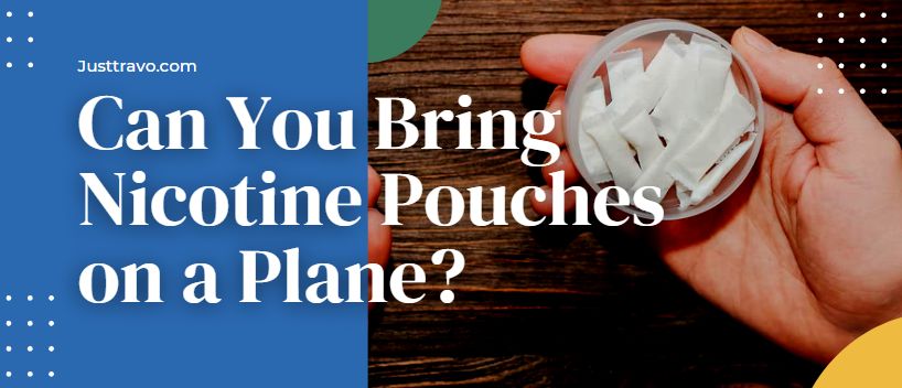 Can You Bring Nicotine Pouches On a Plane? Carry-on Rule