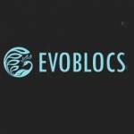 EVOBLOCS Profile Picture