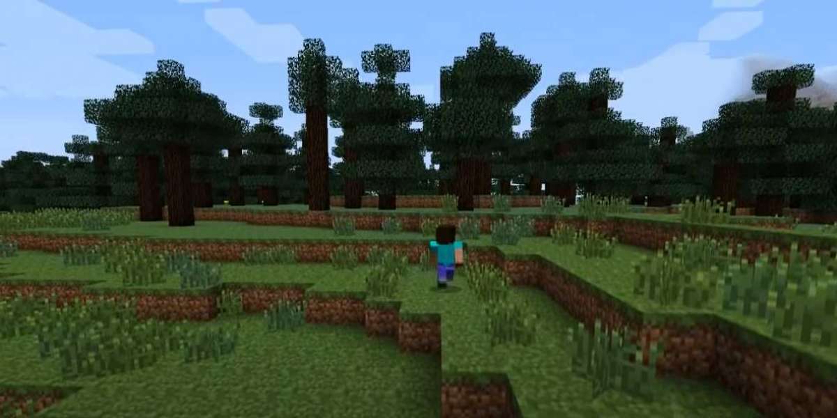 Survival Guide: Things to Do First in Minecraft