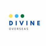 Divine Overseas Profile Picture