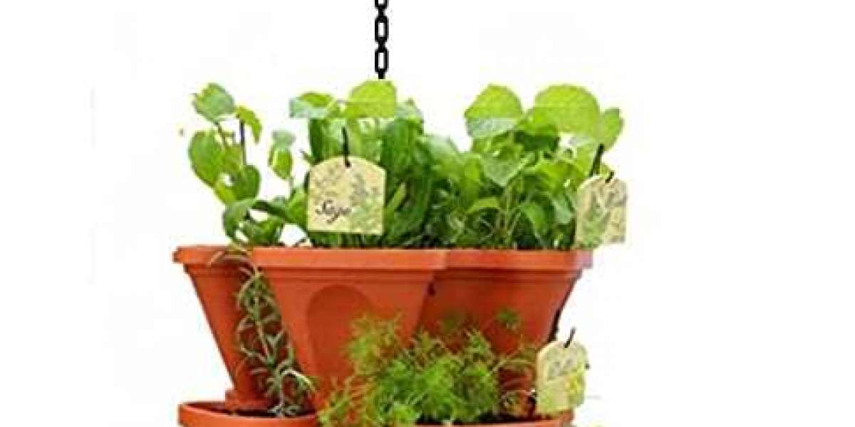Hanging Planters At The Best Price In India