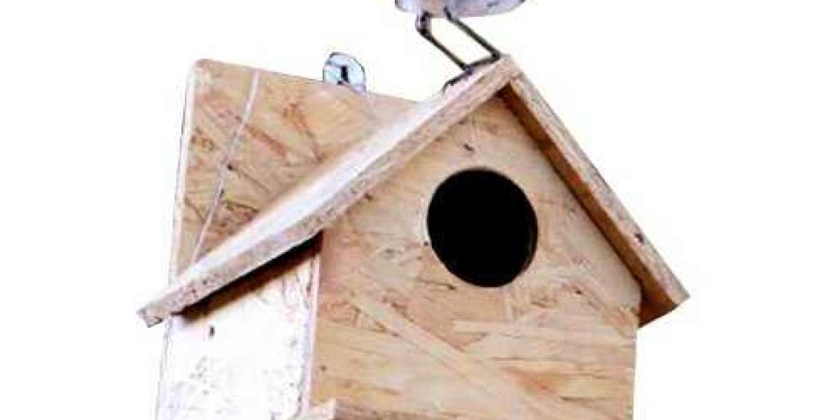 Best Bird house and Hydroponic kit for in your gardens