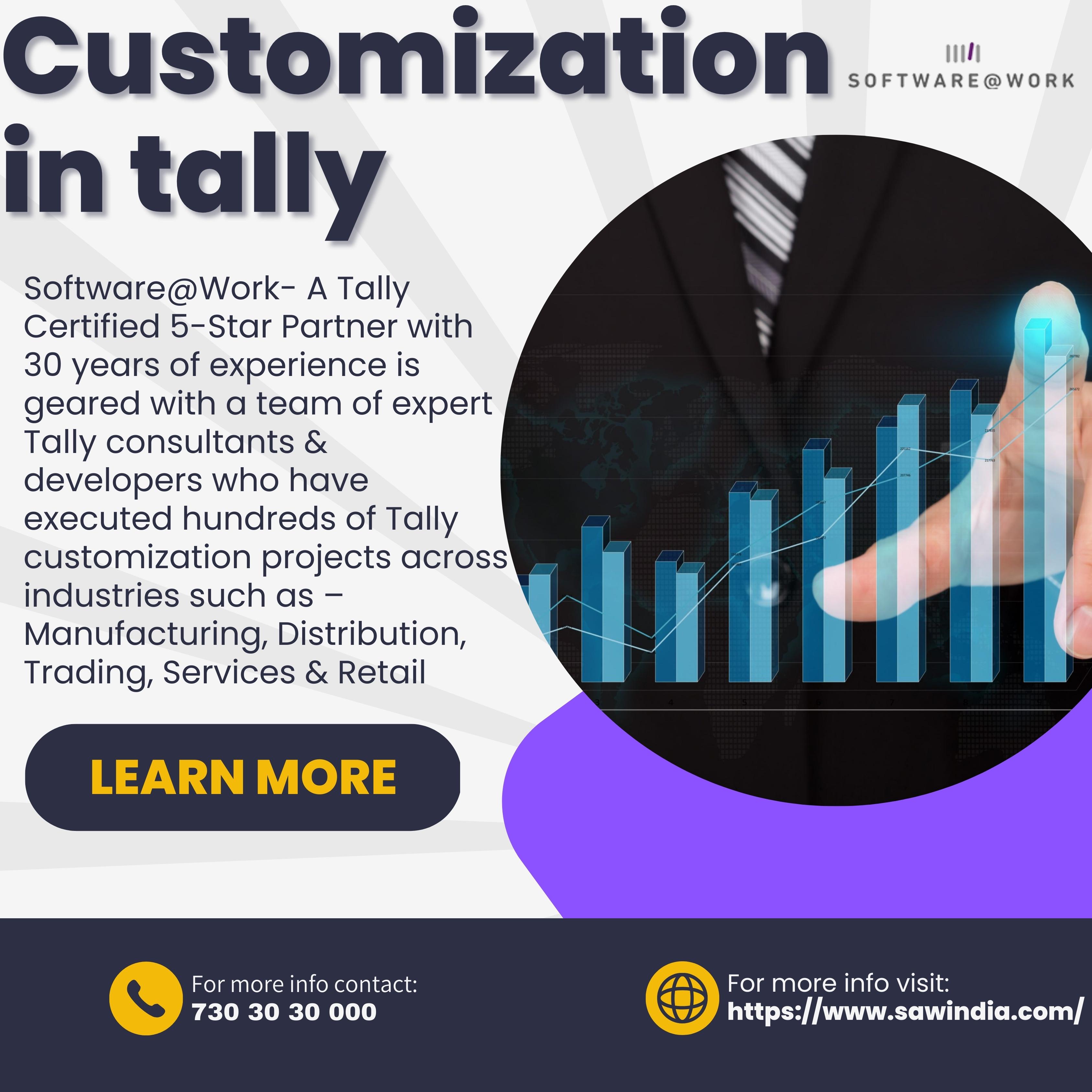 What is Tally Customization? – Software@Work