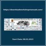 Download workshop Manuals Profile Picture