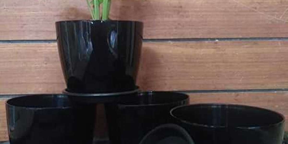 The Benefits of Using Self-Watering Pots and Watering Cans for Plant Care