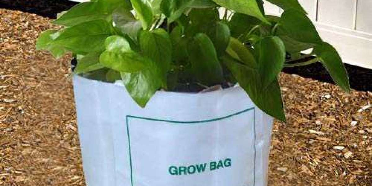 Growing in Style: The Benefits of Using Grow Bags for Your Plants.