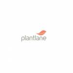Plantlane00 profile picture