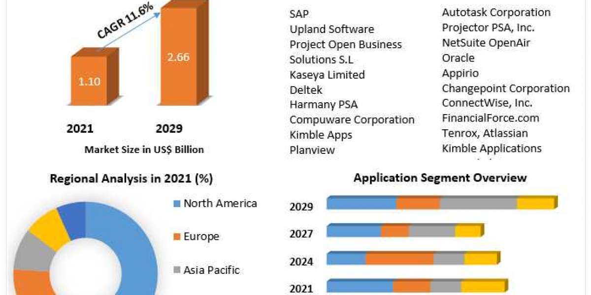 Professional Service Automation Software Market Growth, Overview with Detailed Analysis 2022-2029