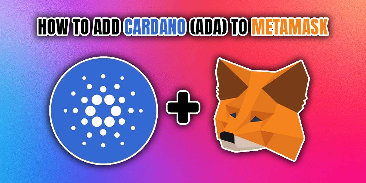 How To Add Cardano (ADA) To Metamask- Crypto Care Pro