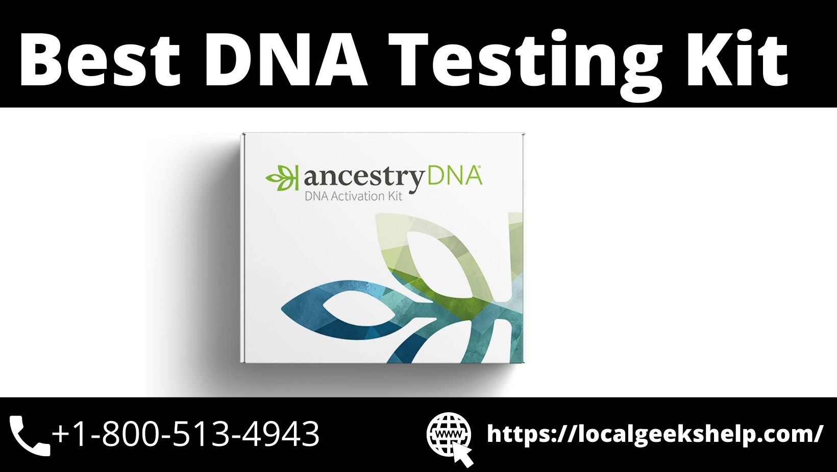 The 3 Best DNA Testing Kit: Ancestry DNA vs 23ANDME vs Family Tree DNA - Live technician