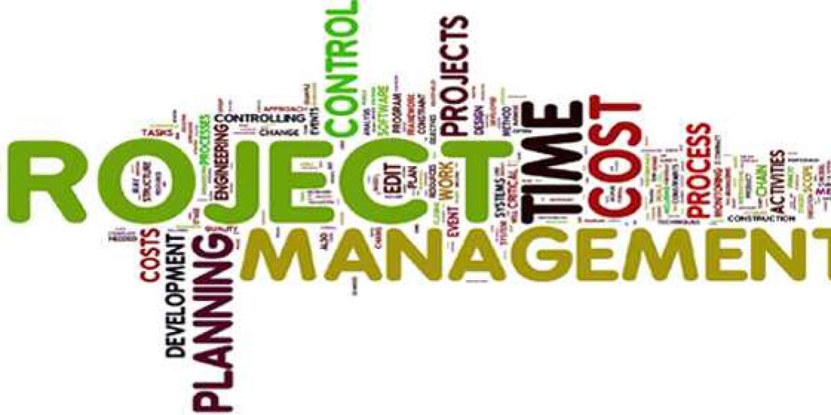 PROJECT MANAGEMENT ASSIGNMENT HELP TO AVOID FAILURE IN ASSIGNMENT