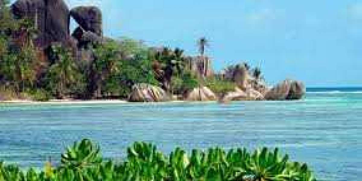 Las Seychelles: un paraíso escondido para los amantes de la naturaleza