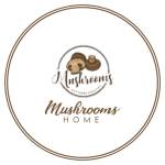 MushroomsHome Profile Picture