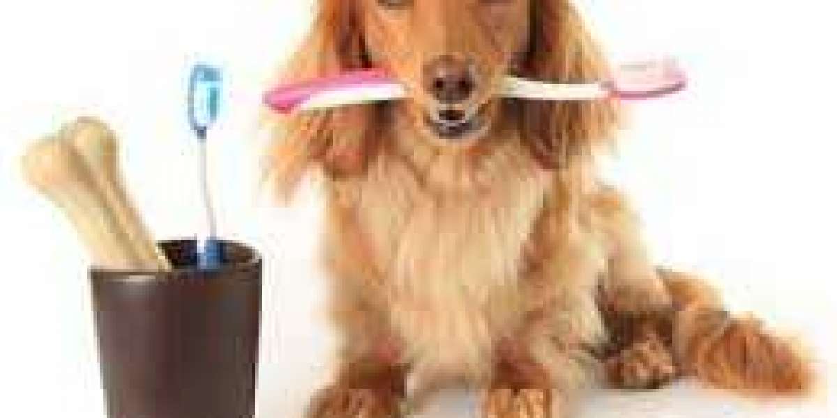 Pet Oral Care Market Share, Size, Trend, Demand, Analysis by Top Leading Player and Forecast Till 2032