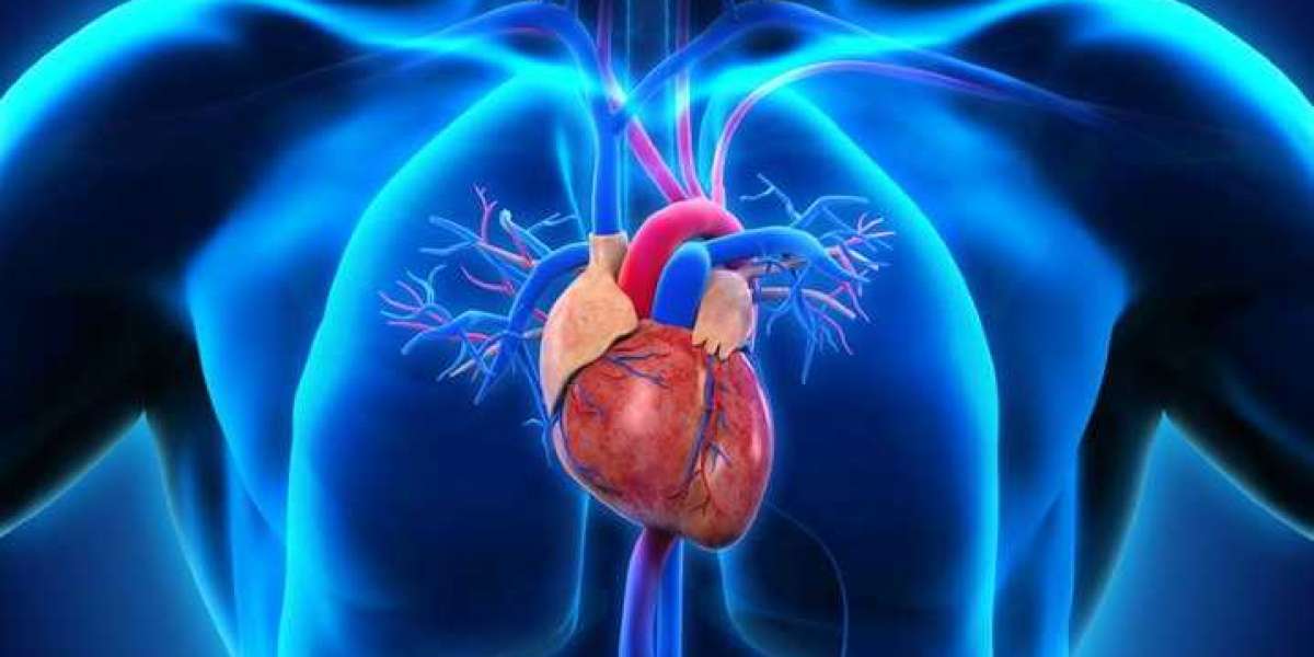 Cardiology Treatment in India: Success Stories of Patients from Across the Globe