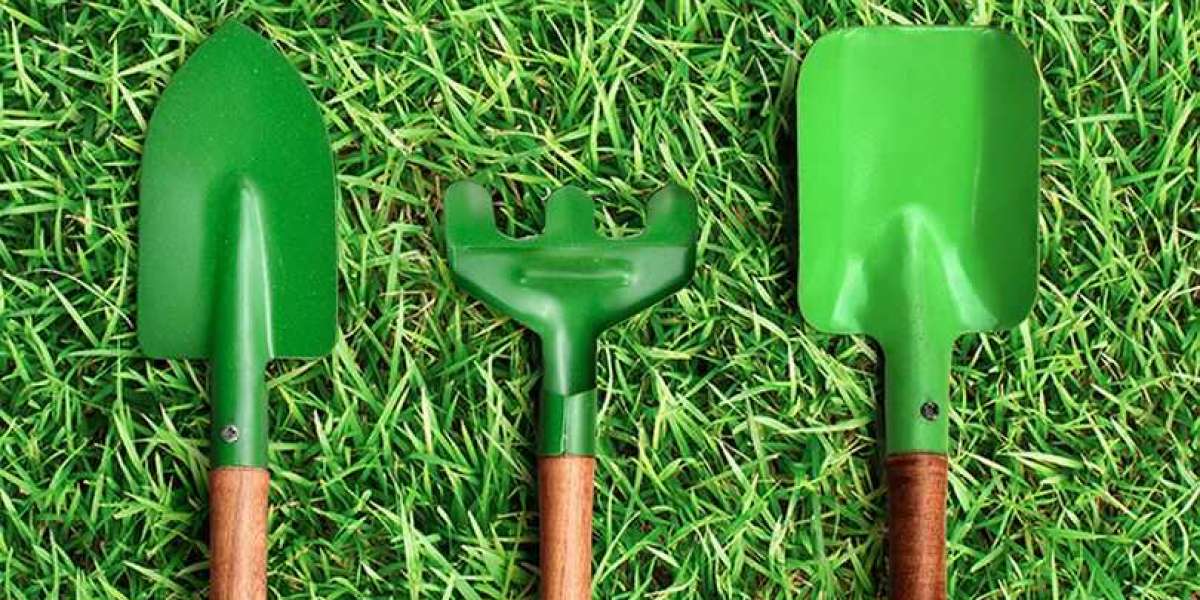 Essential Basic Garden Tools for Maintaining a Healthy Garden