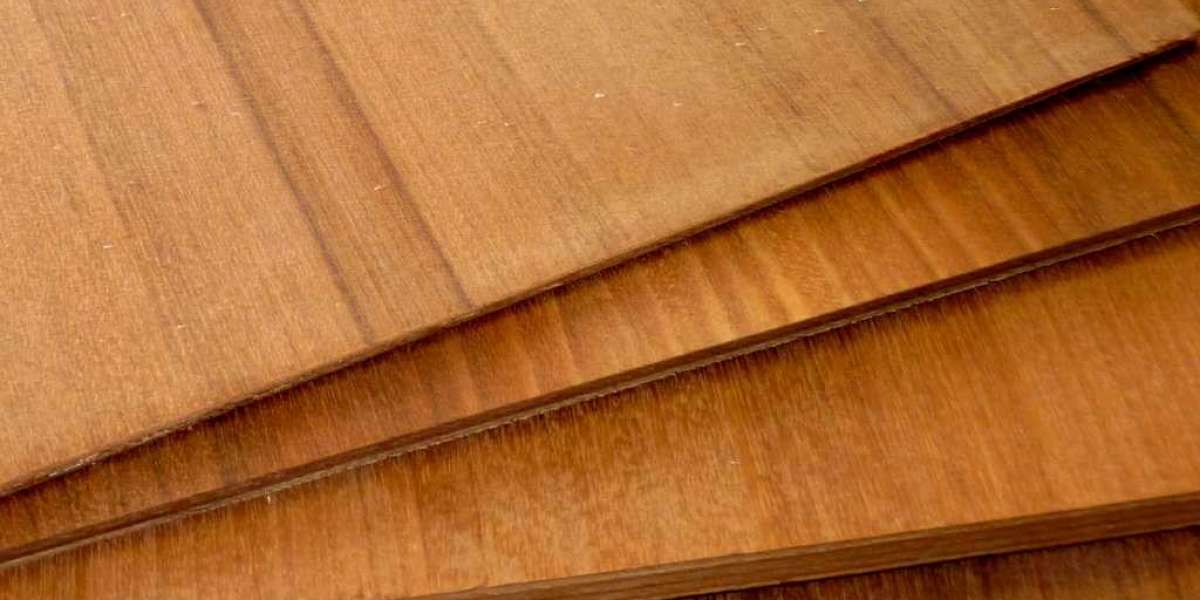 USA and Canada Teak Veneer Sheet Market Size, Share, Demand & Trends by 2033