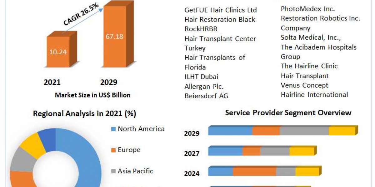 Global Hair Transplant Market Key Player, Industry Growth And Forecast 2029