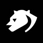 Cheetah Agency Profile Picture