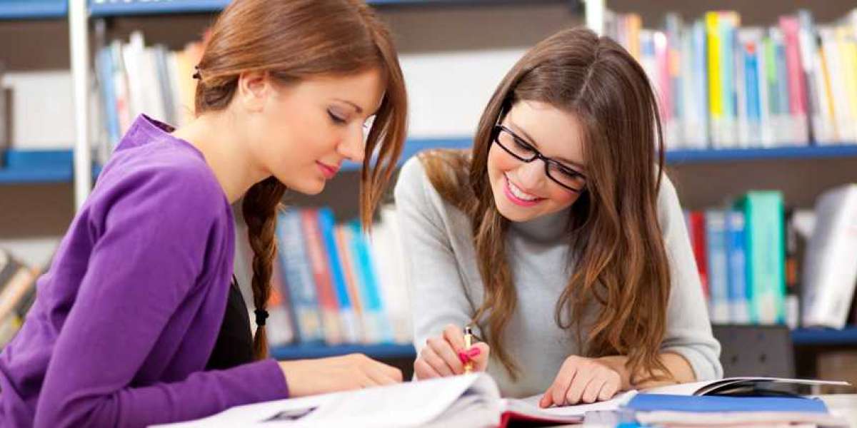 Expert Assistance for Accounting Assignments: Improve Your Grades with Professional Support