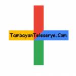 tambayanteleserye Profile Picture