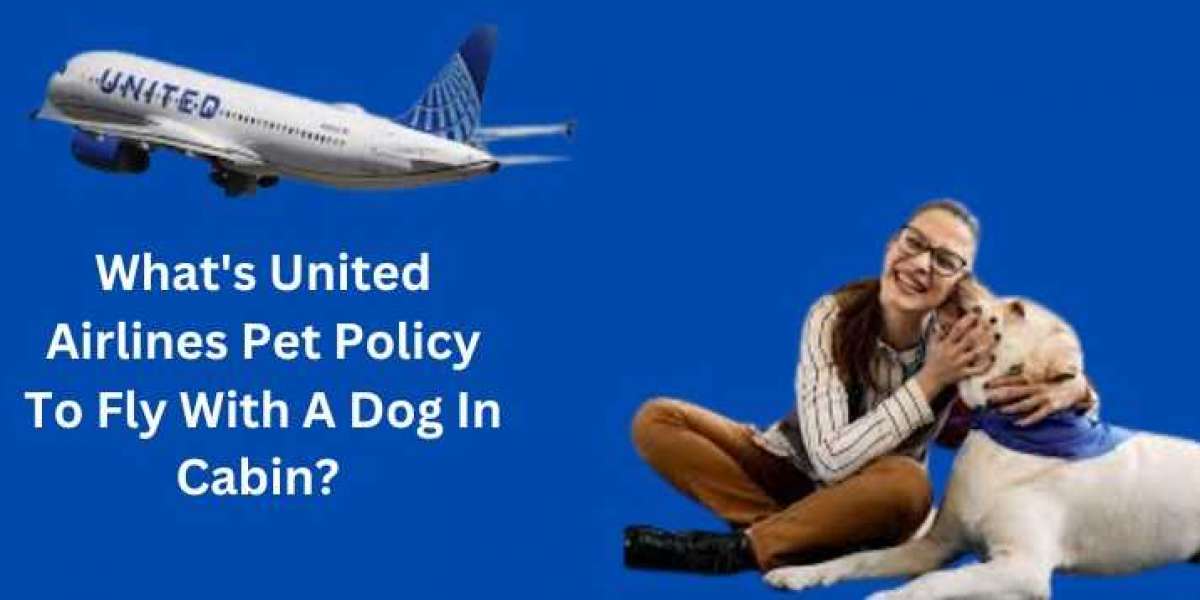 What's United Airlines Pet Policy To Fly With A Dog In Cabin?