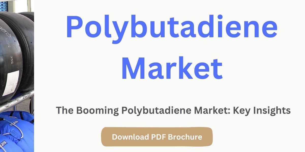 Polybutadiene Market: Market Segmentation and Targeted Customer Analysis