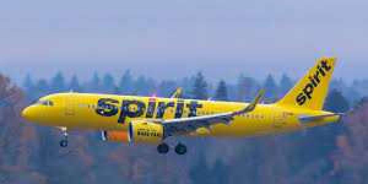 Check Spirit Airlines Flight Status Online & Offline