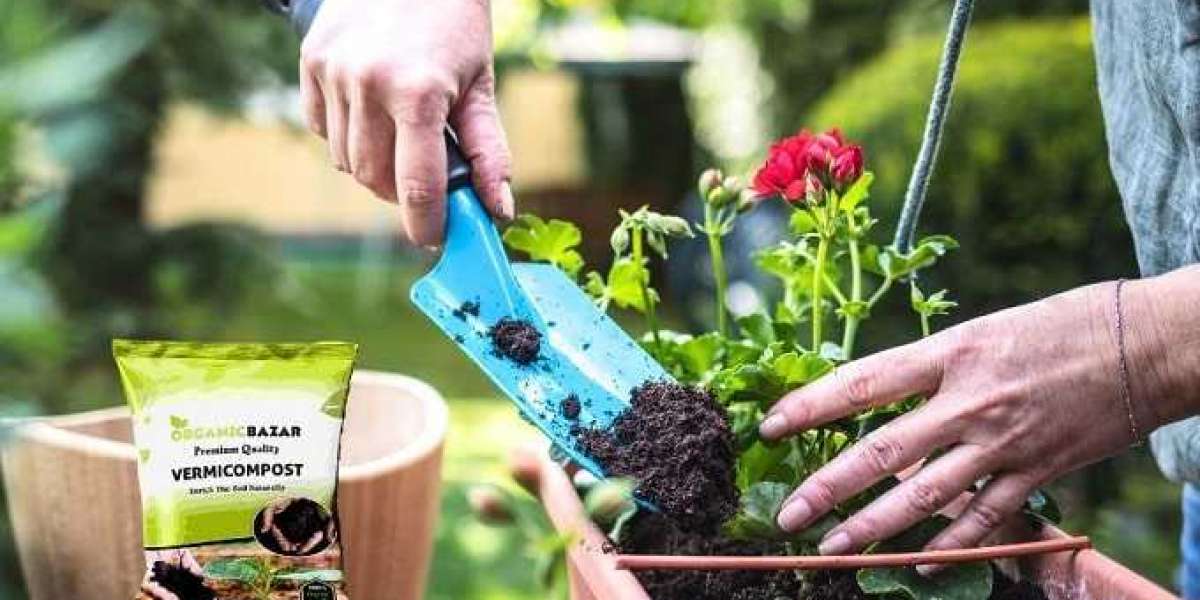 Vermicompost: The Organic Boost for Thriving Vegetable Seeds and Bountiful Harvests