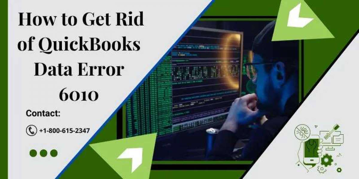 How to Fix QuickBooks Data Error 6010?