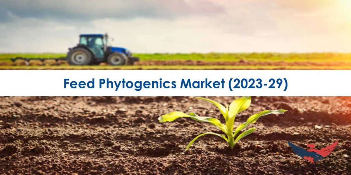 Feed Phytogenics Market Trends, Growth, and Future Prospects