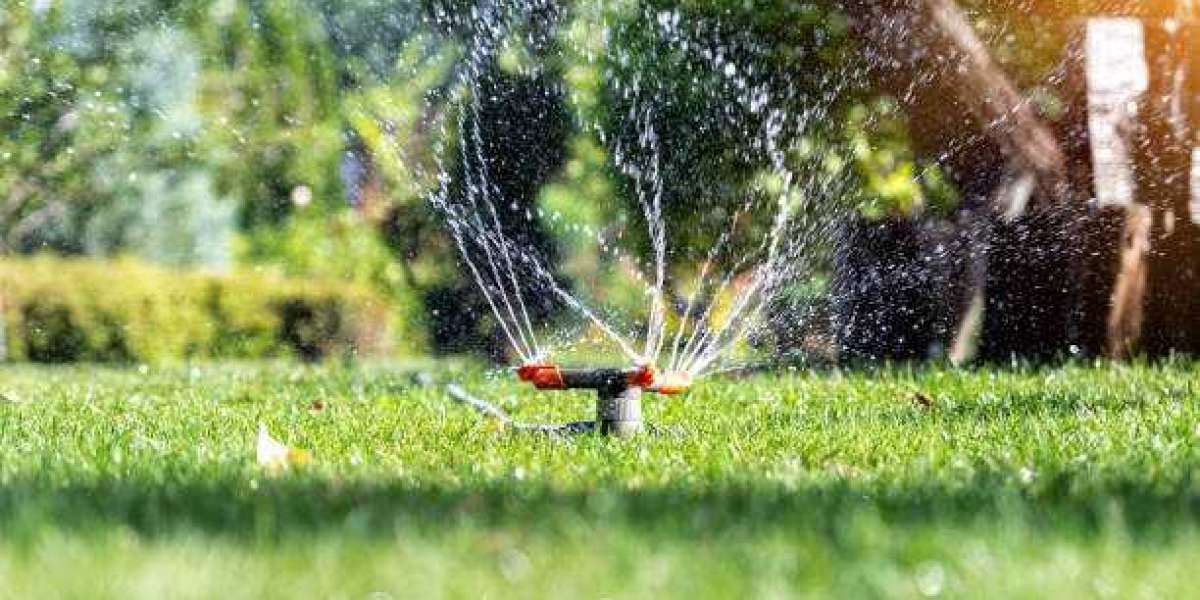 Sprinkler Irrigation Systems Market Share, Segmentation of Top Companies, and Forecast 2030