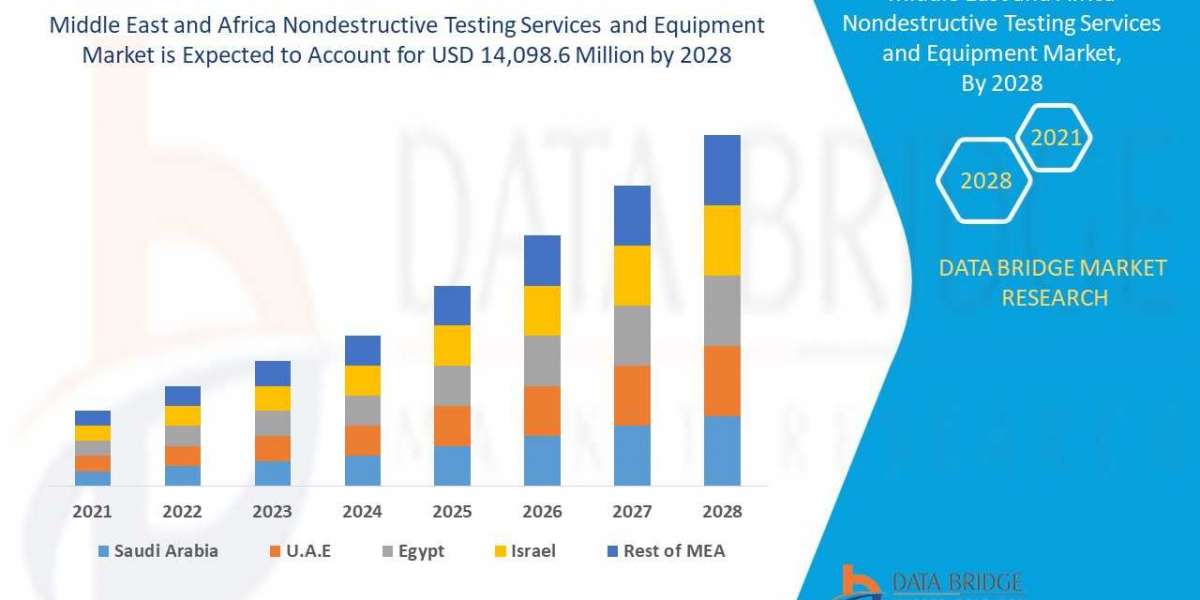 Middle East and Africa Non-destructive Testing Services and Equipment Market Scope and Market Size