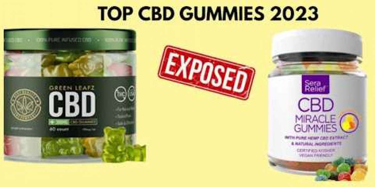 The Ultimate Guide to Anatomy One CBD Gummies: Everything You Need to Know