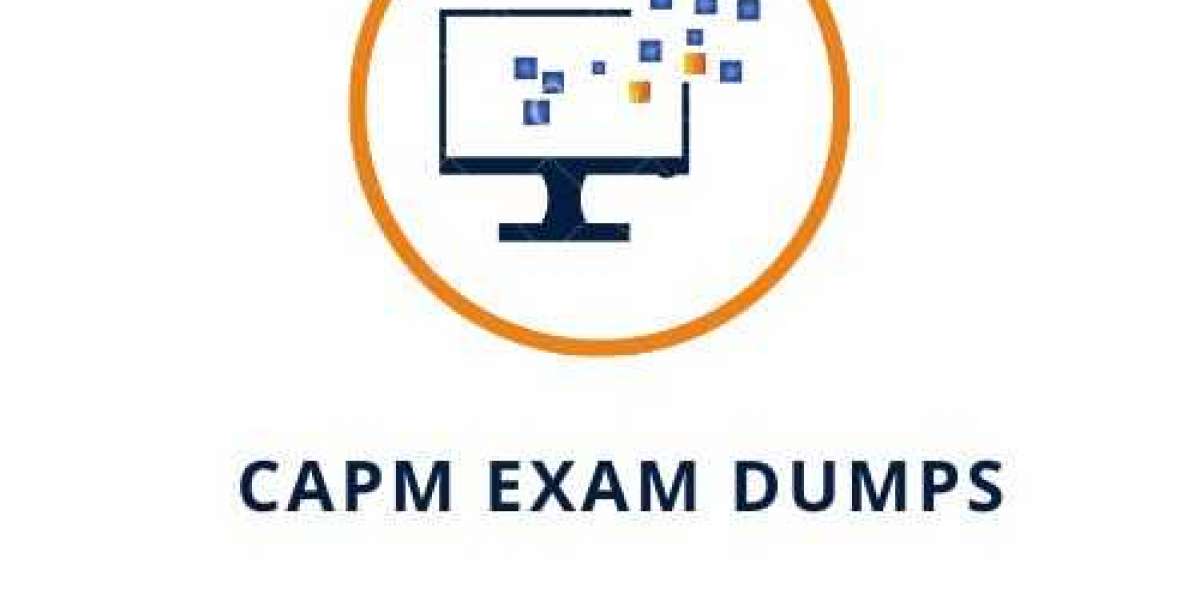 CAPM Exam Dumps ﻿ It is just the replica of the real exam format