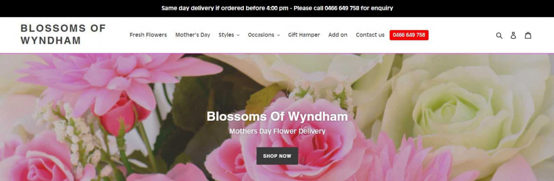 Blossom of Wyndham Cover Image